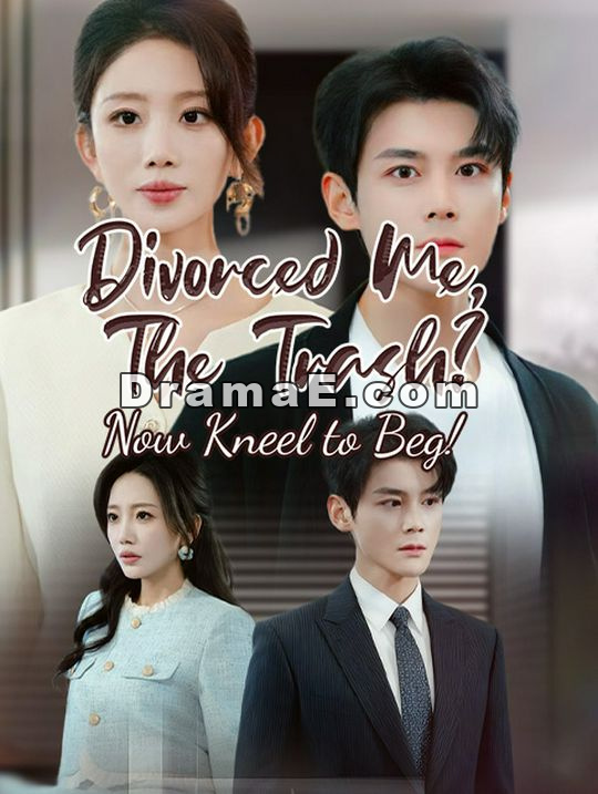 Divorced Me, The Trash? Now Kneel to Beg!
