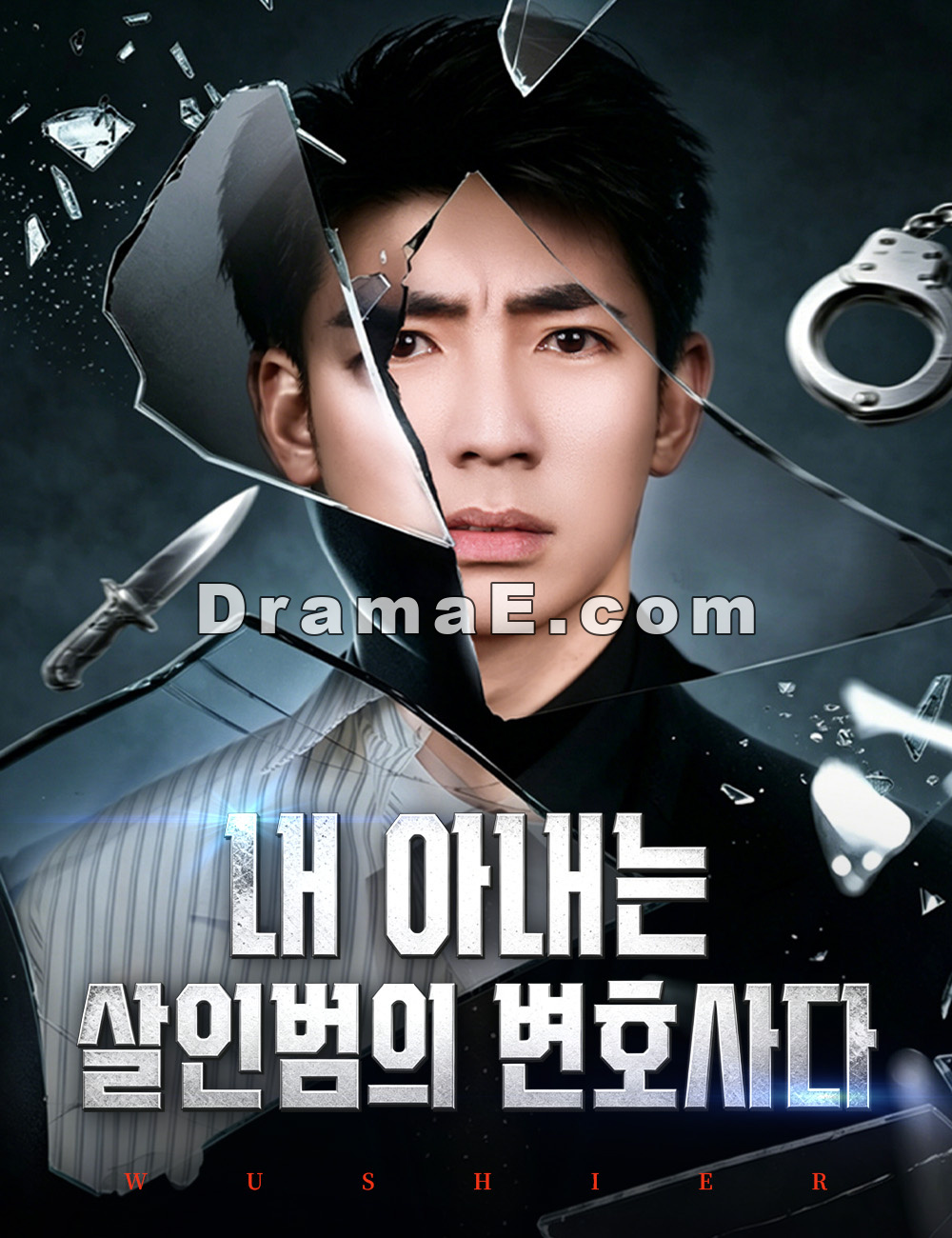 내 아내는 살인범의 변호사다