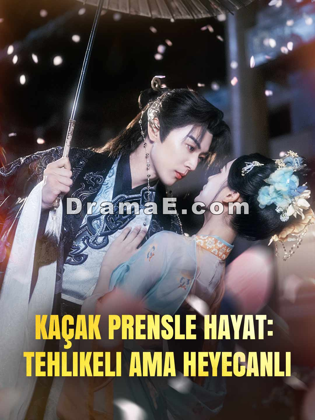 Kaçak Prensle Hayat: Tehlikeli Ama Heyecanlı