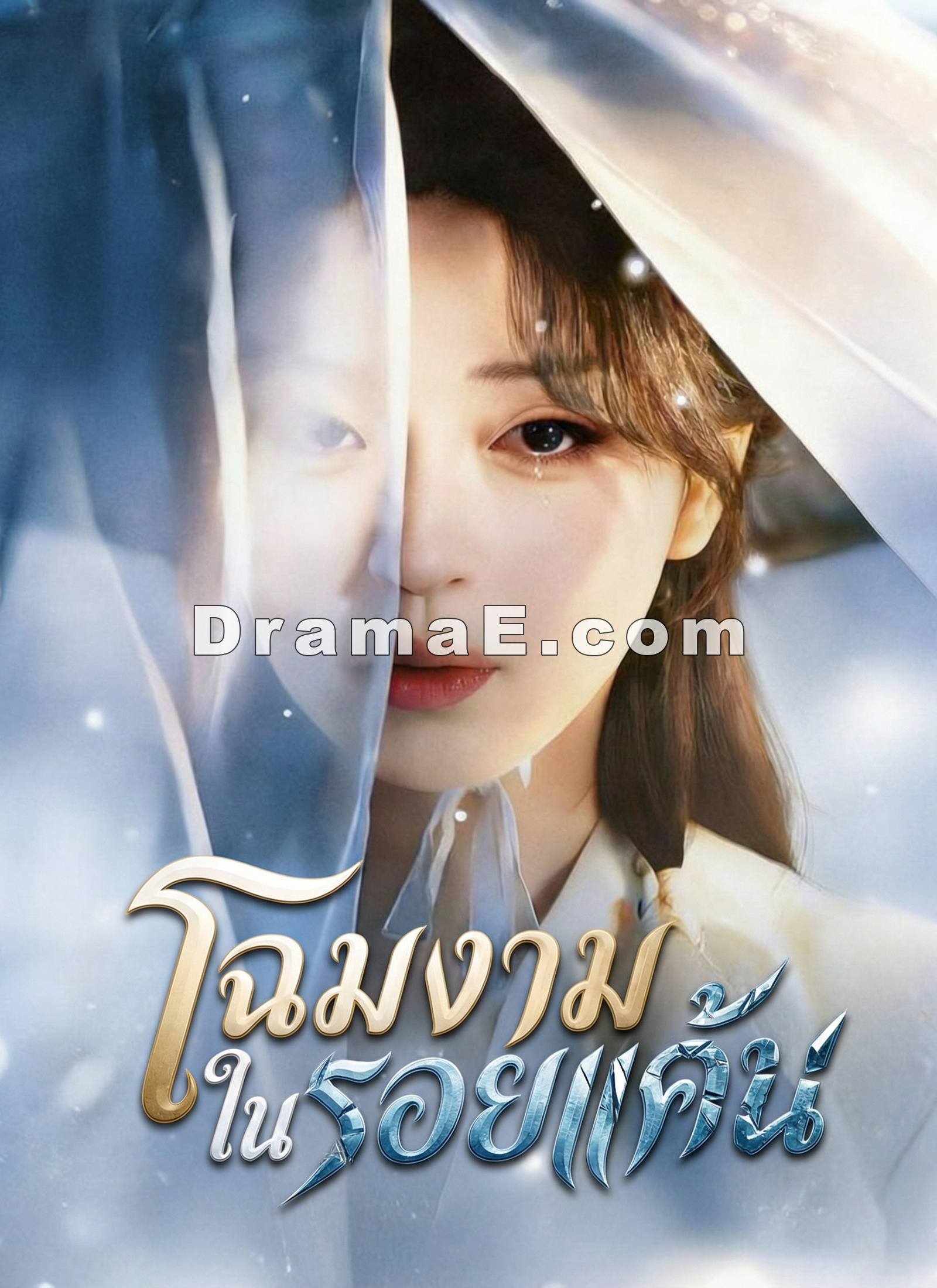 โฉมงามในรอยแค้น