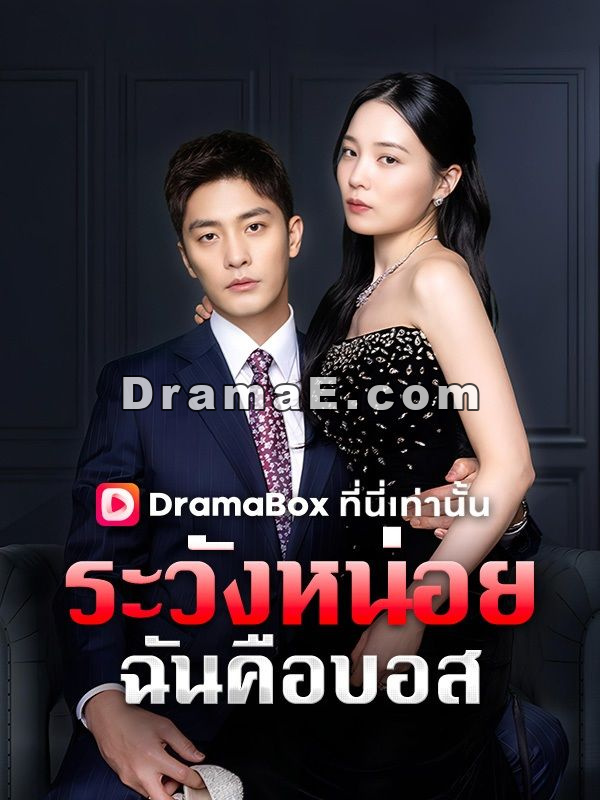 ระวังหน่อย ฉันคือบอส(พากย์ไทย)