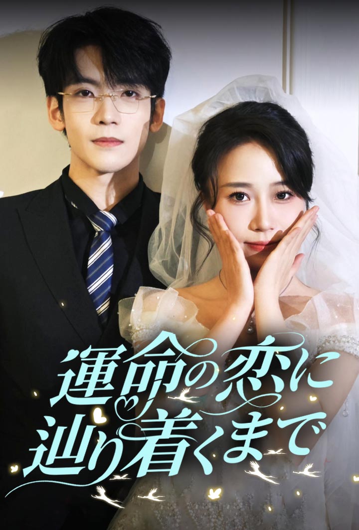 運命の恋に辿り着くまで