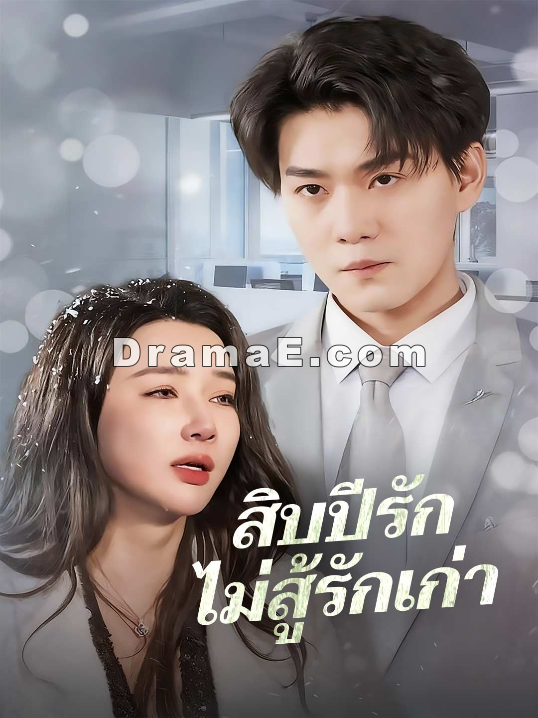 (พากย์) สิบปีรักไม่สู้รักเก่า