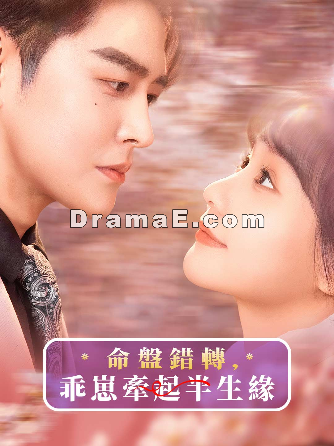 命盤錯轉，乖崽牽起半生緣