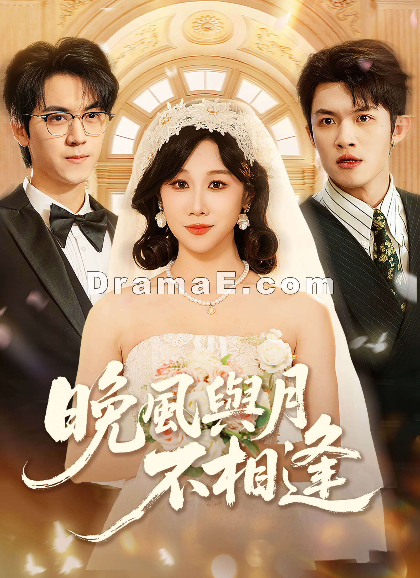 晚風與月不相逢