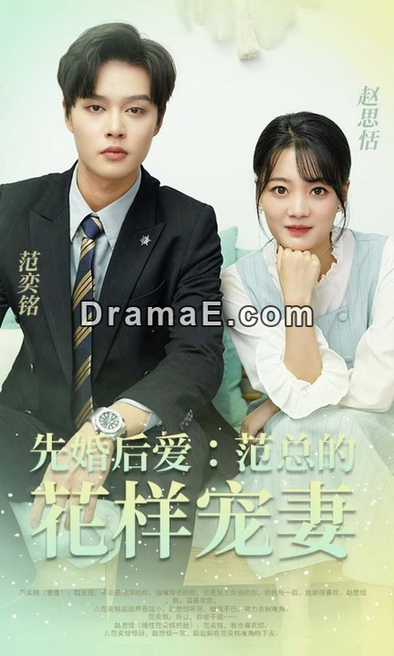 先婚后爱：范总的花样宠妻