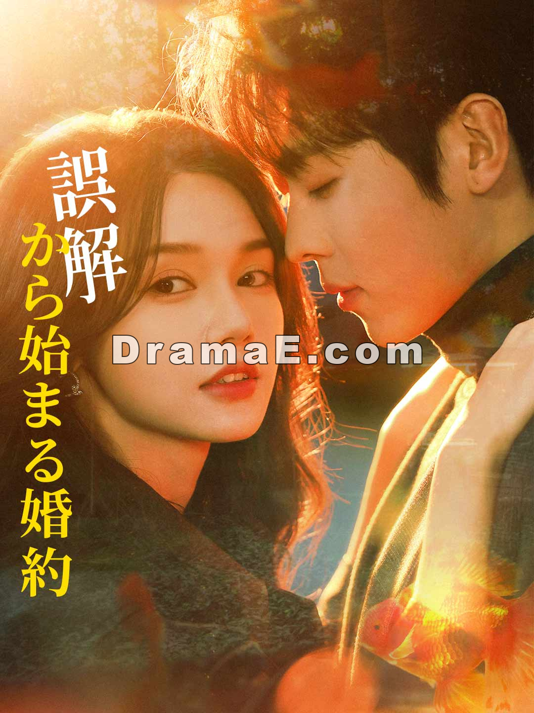 ［吹き替え版］誤解から始まる婚約