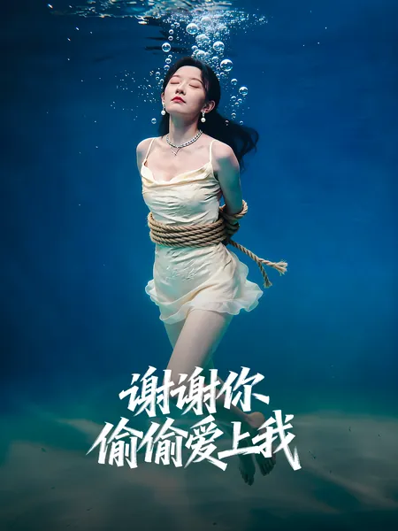 谢谢你偷偷爱上我