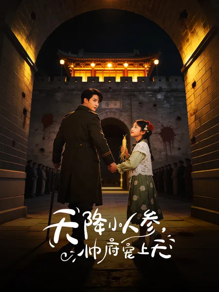 天降小人参，帅府宠上天