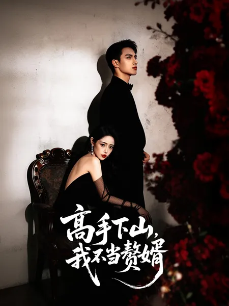 高手下山，我不当赘婿