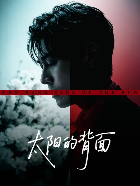 太阳的背面