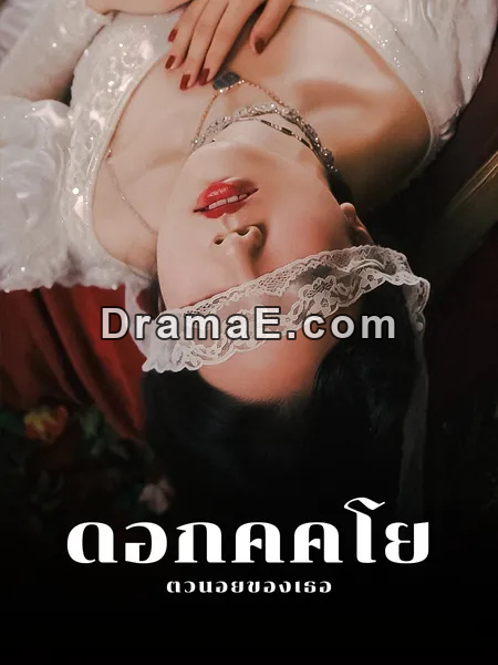 ดอกคิคโยตัวน้อยของเธอ