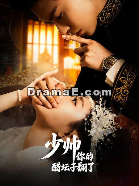 少帅，你的醋坛子翻了