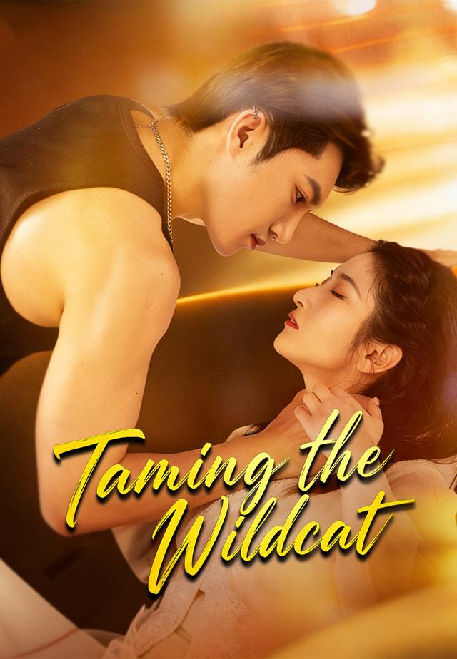 Taming the Wildcat
